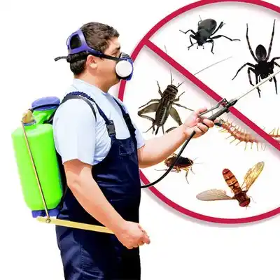 pest control St. Francis